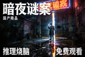 悬疑剧情片《暗夜谜案》海报 - 国产精品，推理烧脑，免费观看